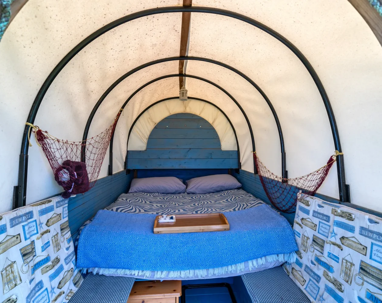 Blue Jay Wagon — view 4