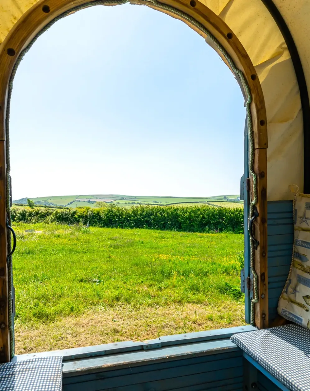 Blue Jay Wagon — view 5