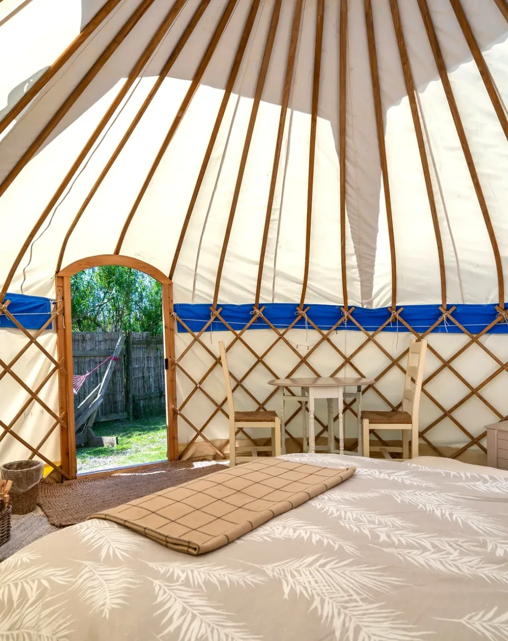 Buzzard Yurt — view 3